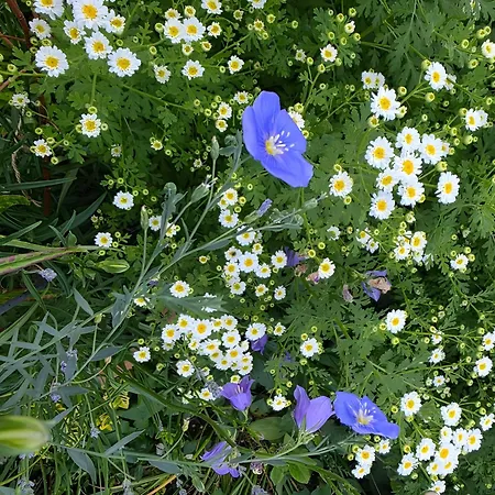 Fuer 3, Nicht Fuer Monteure Appartamento *