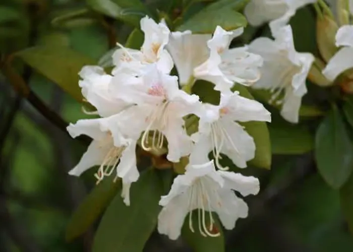 Fuer 3, Nicht Fuer Monteure Niederau