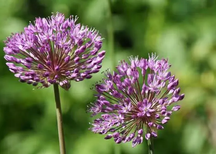 Fuer 3, Nicht Fuer Monteure Niederau